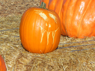 Dracula, Nipomo Pumpkin Patch best carving idea